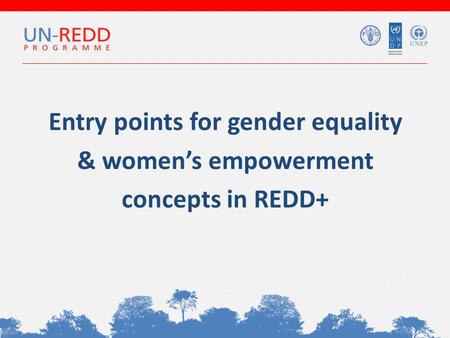 Entry points for gender equality & women’s empowerment concepts in REDD+