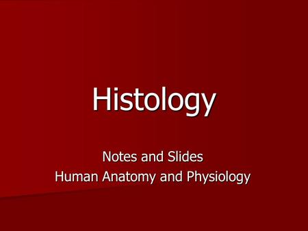 Histology Notes and Slides Human Anatomy and Physiology.