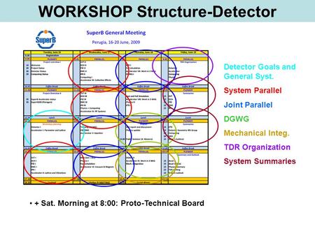 Detector Goals and General Syst. System Parallel Joint Parallel DGWG Mechanical Integ. TDR Organization System Summaries WORKSHOP Structure-Detector +