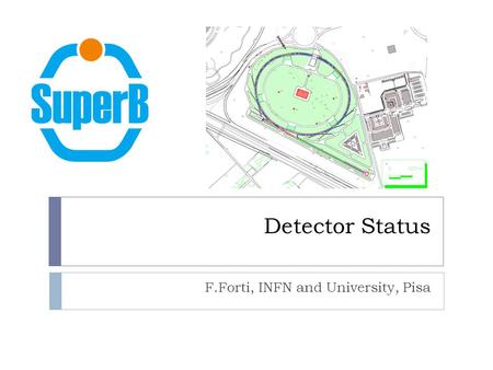 Detector Status F.Forti, INFN and University, Pisa.