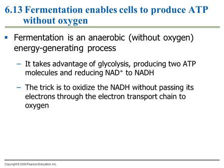 6.13 Fermentation enables cells to produce ATP without oxygen  Fermentation is an anaerobic (without oxygen) energy-generating process –It takes advantage.