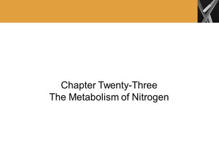 Chapter Twenty-Three The Metabolism of Nitrogen. Nitrogen Fixation Nitrogen fixation is the reduction of N 2 to NH 3: Bacteria are responsible for the.