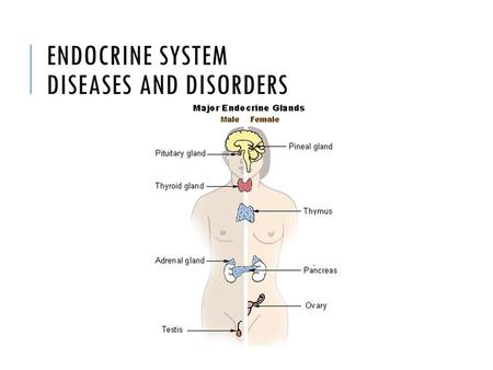 ENDOCRINE SYSTEM DISEASES AND DISORDERS. GIGANTISM hyper GH before 25 extreme skeletal size.