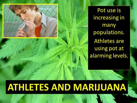 Pot use is increasing in many populations. Athletes are using pot at alarming levels.