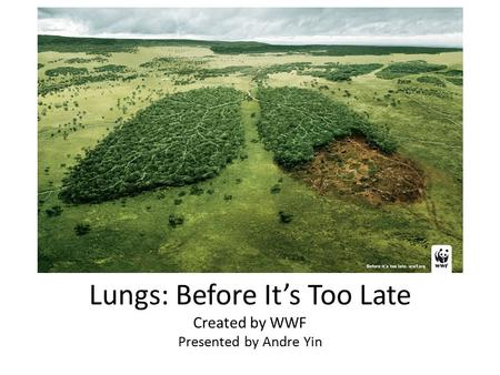 Lungs: Before It’s Too Late Created by WWF Presented by Andre Yin.