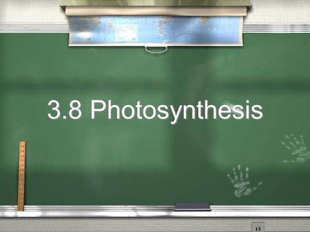 3.8 Photosynthesis. 3.8.1 / Photosynthesis involves the conversion of light energy into chemical energy.