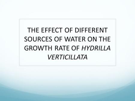 THE EFFECT OF DIFFERENT SOURCES OF WATER ON THE GROWTH RATE OF HYDRILLA VERTICILLATA.