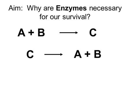 Aim: Why are Enzymes necessary for our survival? A + BC C.