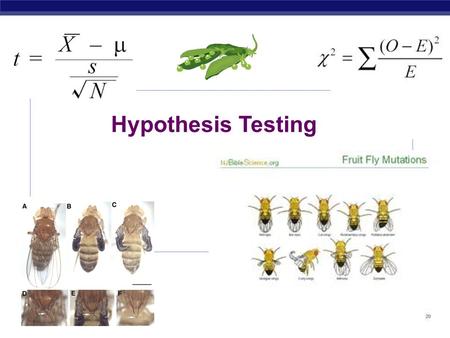 Hypothesis Testing Hypothesis vs Theory  Hypothesis  An educated guess about outcome of an experiment  Theory  An explanation of observed facts that.