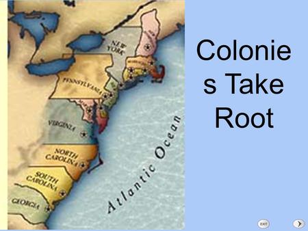 The Middle Colonies Colonie s Take Root. The Middle Colonies.