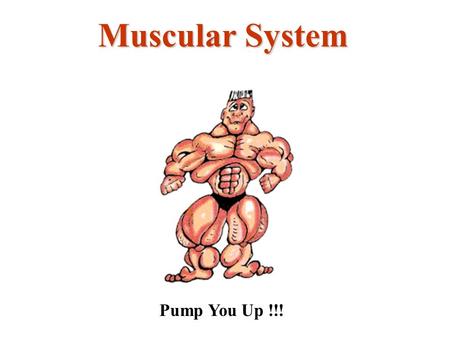 Muscular System Pump You Up !!!. ContractilityContractility - Muscles have the ability to contract only. IrritabilityIrritability - Muscles will respond.