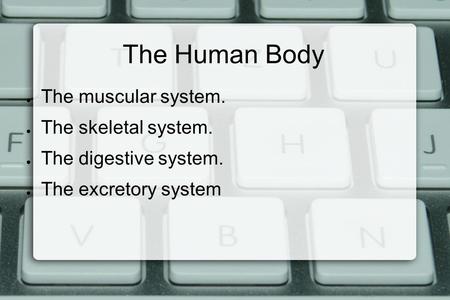 The Human Body ● The muscular system. ● The skeletal system. ● The digestive system. ● The excretory system.