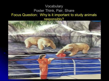 Vocabulary Poster Think, Pair, Share Focus Question: Why is it important to study animals responsibly?