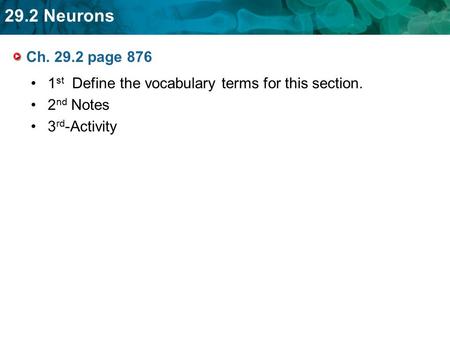 29.2 Neurons Ch. 29.2 page 876 1 st Define the vocabulary terms for this section. 2 nd Notes 3 rd -Activity.