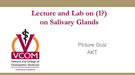 Picture Quiz AKT Lecture and Lab on (1?) on Salivary Glands.