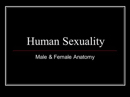 Human Sexuality Male & Female Anatomy. What determines a person’s sex? A person's genetic composition (genome) is established at conception. Humans normally.