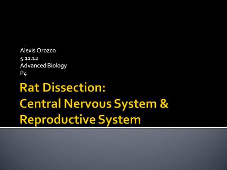 Alexis Orozco 5.11.12 Advanced Biology P4. The Central Nervous System is composed of your brain and spinal cord which work together to send and receive.