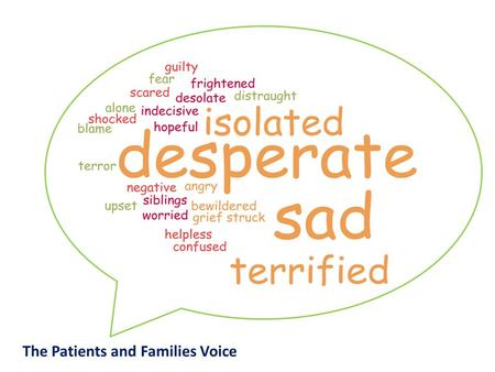 The Patients and Families Voice. PATIENT FAMILY Diagnosis Antenatal Post Natal Throughout life. Decision Making and Pathway Planning Treatment Surgical,