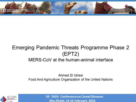 Regional Workshop on MERS-CoV and “One Health” 27-29 April 2015 Doha, Qatar 1 GF -TADS Conference on Camel Diseases Abu Dhabi, 14-16 February 2016 Emerging.