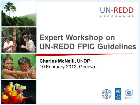 Expert Workshop on UN-REDD FPIC Guidelines Charles McNeill, UNDP 10 February 2012, Geneva.