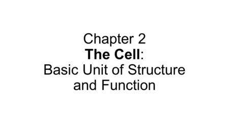 Chapter 2 The Cell: Basic Unit of Structure and Function.