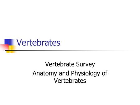 Vertebrates Vertebrate Survey Anatomy and Physiology of Vertebrates.