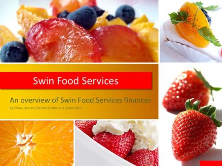 Swin Food Services An overview of Swin Food Services finances By Chloe Garrett, Daniel Hardea and Yuelei Mao.