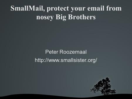 SmallMail, protect your  from nosey Big Brothers Peter Roozemaal