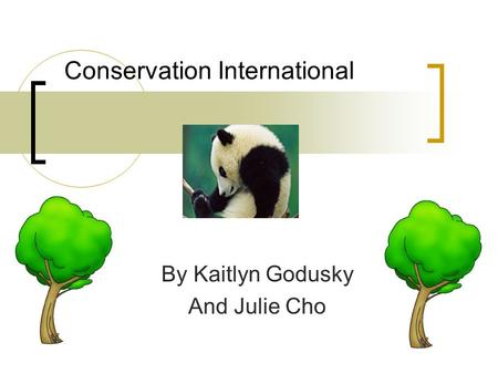 Conservation International By Kaitlyn Godusky And Julie Cho.