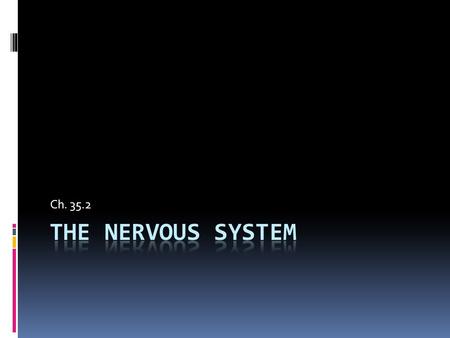 Ch. 35.2.  Nearly all multicellular organisms have communication systems  Specialized cells carry messages from one cell to another.  NERVOUS SYSTEM.