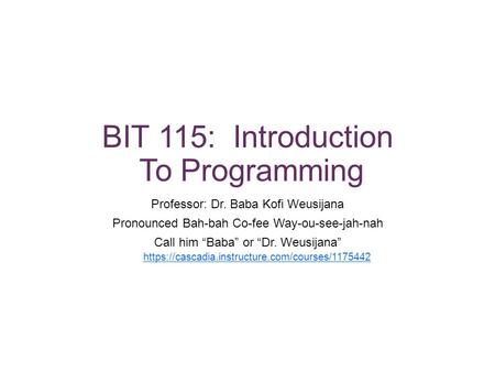 BIT 115: Introduction To Programming Professor: Dr. Baba Kofi Weusijana Pronounced Bah-bah Co-fee Way-ou-see-jah-nah Call him “Baba” or “Dr. Weusijana”