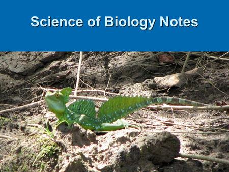 Science of Biology Notes. What is Science? (1-1) The root ­sci- means “to know”. Science is one way of investigating the world in which we live. Science.