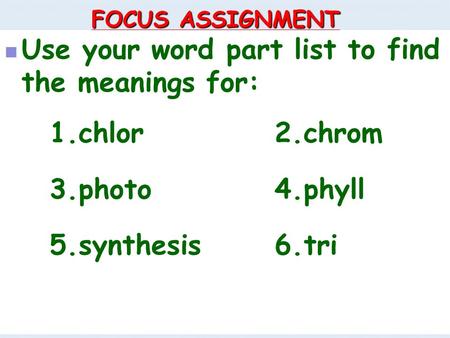 FOCUS ASSIGNMENT Use your word part list to find the meanings for: Use your word part list to find the meanings for: 1.chlor2.chrom 3.photo4.phyll 5.synthesis6.tri.