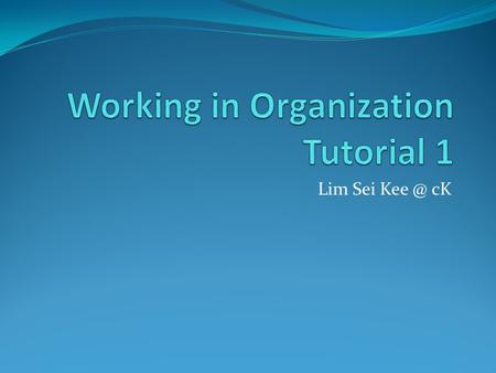 Lim Sei cK. Q1 Types of business organizations: a) An organization owned by one person b) A slightly larger organization, which is owned by 2 to.