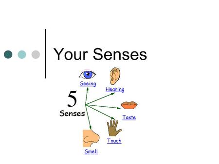 Your Senses. Sensory Receptors 5 receptors Pain Thermo Mechno Chemo Photo.