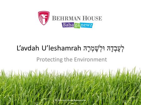 L’avdah U’leshamrah לְעָבְדָהּ וּלְשָׁמְרָהּ Protecting the Environment © Behrman House/Babaganewz.