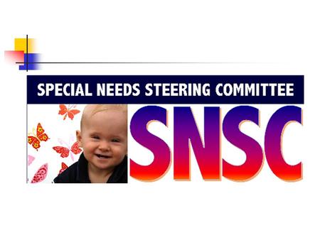 VISION All children and their families who are at risk, have high needs, or are developmentally challenged, in the Niagara Region, will be successful.