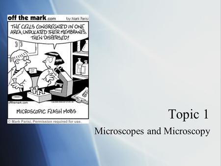 Topic 1 Microscopes and Microscopy. Light Microscopes  How do they work?  Optical magnification  Images pass through a lens or a series of lenses 