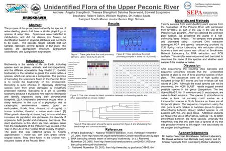 Unidentified Flora of the Upper Peconic River Authors: Angela Blangiforti, Theresa Blangiforti Sabrina Sauerwald, Edward Spagnuolo Teachers: Robert Bolen,