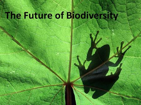 The Future of Biodiversity. Objectives List and describe four types of efforts to save individual species. Explain the advantages of protecting entire.