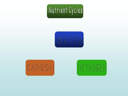 Earth’s 4 Spheres air life water earth/rocks The Water Cycle.