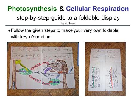 Photosynthesis & Cellular Respiration step-by-step guide to a foldable display by Mr. Rojas ● Follow the given steps to make your very own foldable with.