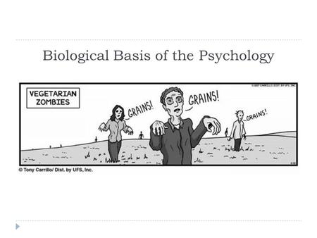 Biological Basis of the Psychology. The Brain  Lesion  tissue destruction  a brain lesion is a naturally or experimentally caused destruction of brain.