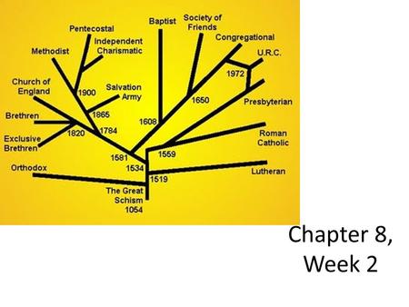 Chapter 8, Week 2. What was the Counter Reformation? The counter-reformation is when the Catholic Church tried to fix its ways and gain people back Pope.