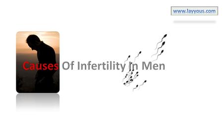 Testicular Hormonal 5 Main Factors For Men INFERTILITY Epididymis, Seminal Vesicle and Prostate Coital Disorders Abnormal Sperm.