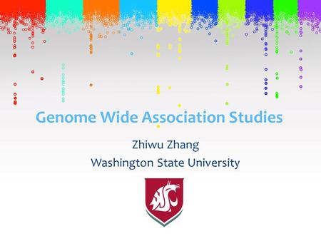 Genome Wide Association Studies Zhiwu Zhang Washington State University.