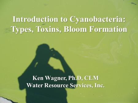 Introduction to Cyanobacteria: Types, Toxins, Bloom Formation Ken Wagner, Ph.D, CLM Water Resource Services, Inc.