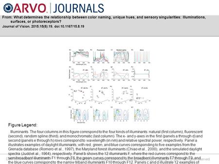 Date of download: 9/18/2016 The Association for Research in Vision and Ophthalmology Copyright © 2016. All rights reserved. From: What determines the relationship.