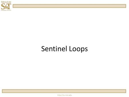 Sentinel Loops.  while Syntax while(expression) statement.