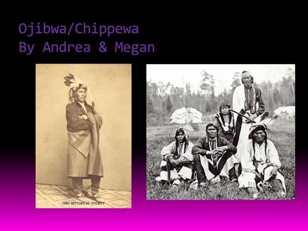 Ojibwa/Chippewa By Andrea & Megan. Food  Here are some pictures of what they ate.  They ate Bison, corn, Berries, Deer, and wild rice.